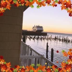 Meet your Posher, Sandra